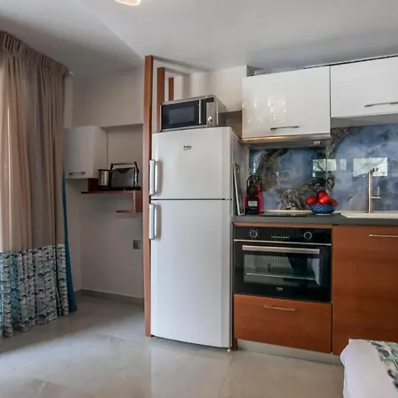 Olia Seaside 120m From The Apartment