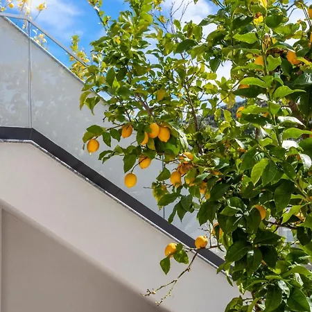 Apartment Olia Seaside 120m From The