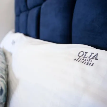 Olia Seaside 120m From The Apartment *