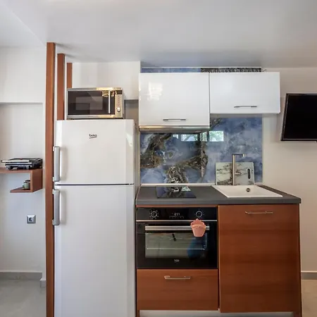 Olia Seaside 120m From The Apartment *