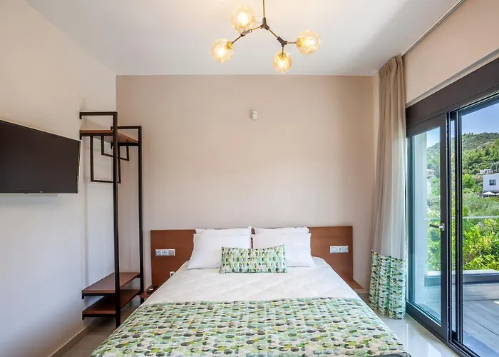 Olia Seaside 120m From The Apartament Pefkochori