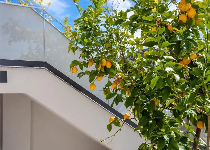 Apartament Olia Seaside 120m From The