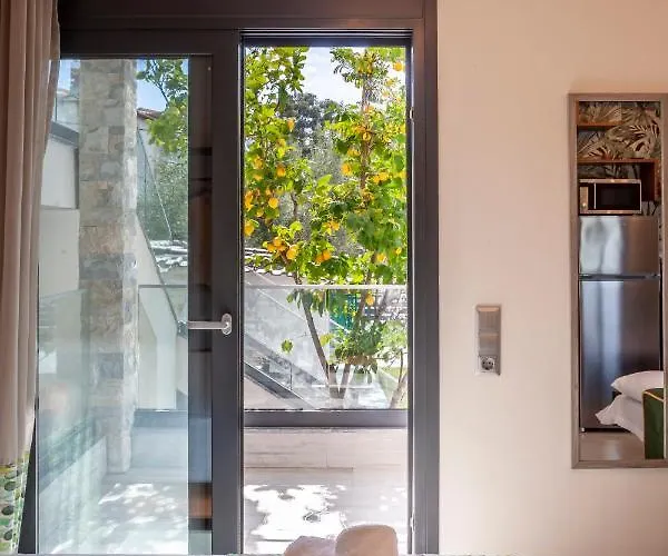 Olia Seaside 120m From The *