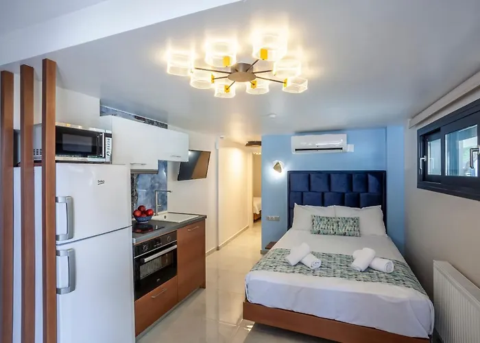 Olia Seaside 120m From The Apartament *