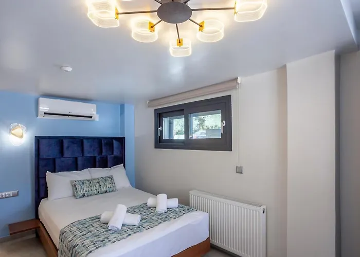 Olia Seaside 120m From The Apartament *