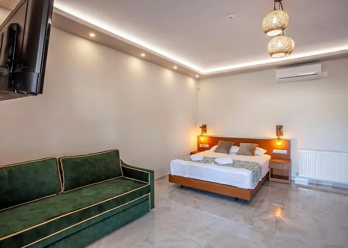 Olia Seaside 120m From The Apartament